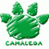 Camaleoa